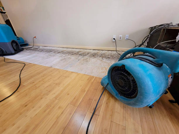 Professional Structural Drying technician working in Amberg, WI